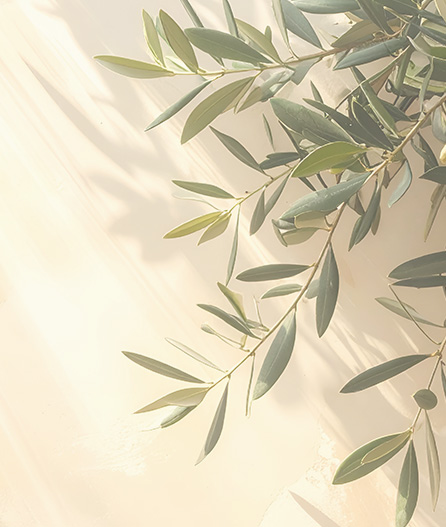 green botanical leaf illustration representing nature and organic themes