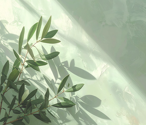 green leaf design representing nature beauty and greenery