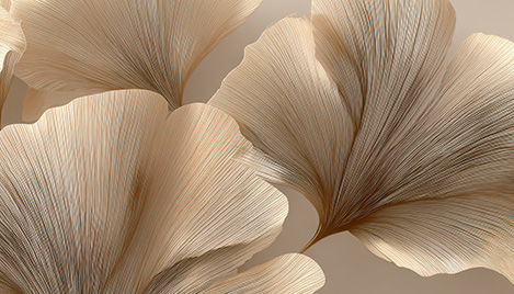 lush green ginkgo leaves displaying intricate patterns and textures in a serene natural setting emphasizing the beauty of four types of foliage