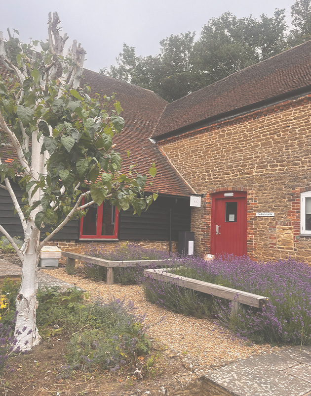 A garden scene featuring a white tree and wooden benches surrounded by blooming lavender flowers near a red door entrance of a rustic stone building showcasing natural beauty and tranquility 2 nature 2 outdoor